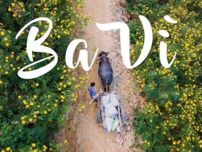 gGqQLjVb vuon quoc gia ba vi banner