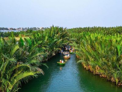 kinh-nghiem-du-lich-rung-dua-bay-mau-1 kinh nghiem du lich rung dua bay mau 1